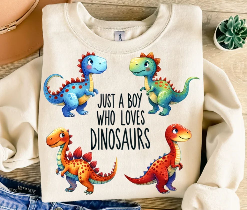 Camisola "Just a boy who loves Dinossaurs"